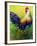 CEO Rooster-Marion Rose-Framed Giclee Print