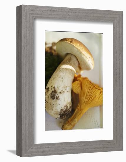 Cep and Chanterelle-Eising Studio - Food Photo and Video-Framed Photographic Print