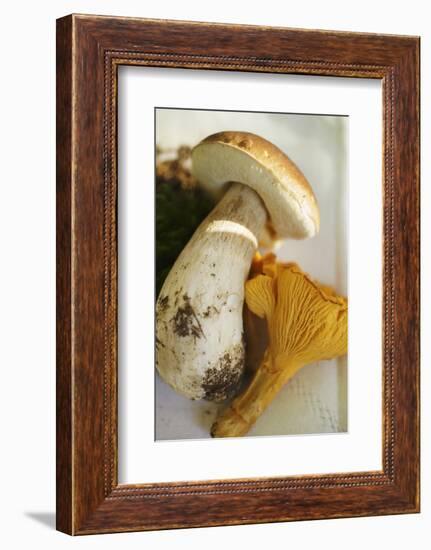 Cep and Chanterelle-Eising Studio - Food Photo and Video-Framed Photographic Print