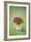 Cep Mushroom (Boletus Edulis)-Bjorn Svensson-Framed Photographic Print