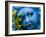 Ceramic Plaque Face and Lizard, San Miguel De Allende, Mexico-Nancy Rotenberg-Framed Photographic Print