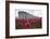 Ceramic poppies at the Tower of London-Associated Newspapers-Framed Photo