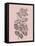 Cerasus Blush Pink Flower-Jasmine Woods-Framed Stretched Canvas