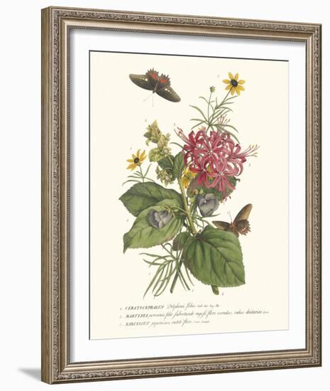 Ceratocephamus, Martynia and Narcissus-Georg Ehret-Framed Giclee Print