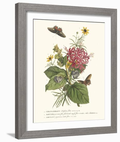 Ceratocephamus, Martynia and Narcissus-Georg Ehret-Framed Giclee Print