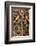 Ceratophrys Ornata (Ornate Horned Frog, Escuerzo)-Paul Starosta-Framed Photographic Print