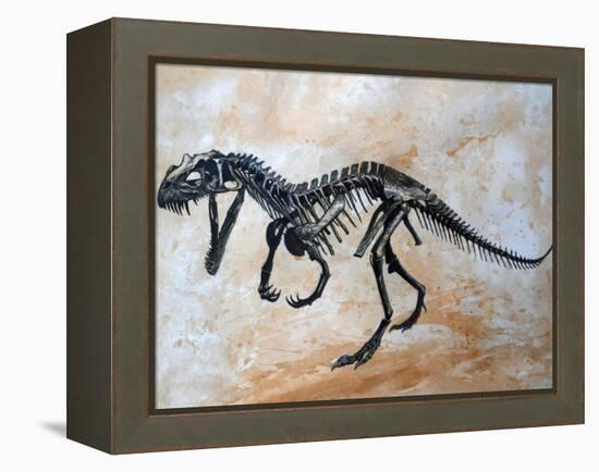 Ceratosaurus Dinosaur Skeleton-Stocktrek Images-Framed Stretched Canvas