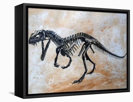 Ceratosaurus Dinosaur Skeleton-Stocktrek Images-Framed Stretched Canvas