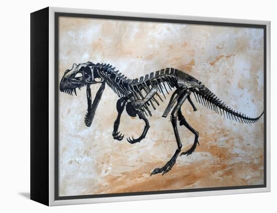 Ceratosaurus Dinosaur Skeleton-Stocktrek Images-Framed Stretched Canvas