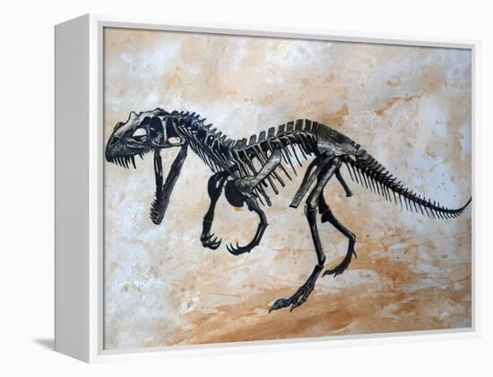 Ceratosaurus Dinosaur Skeleton-Stocktrek Images-Framed Stretched Canvas