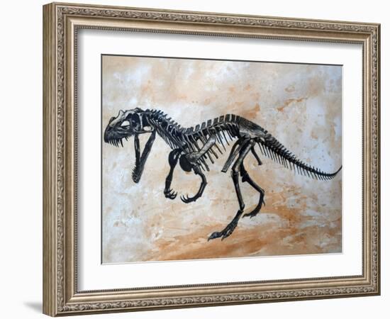 Ceratosaurus Dinosaur Skeleton-Stocktrek Images-Framed Art Print