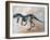 Ceratosaurus Dinosaur Skeleton-Stocktrek Images-Framed Art Print