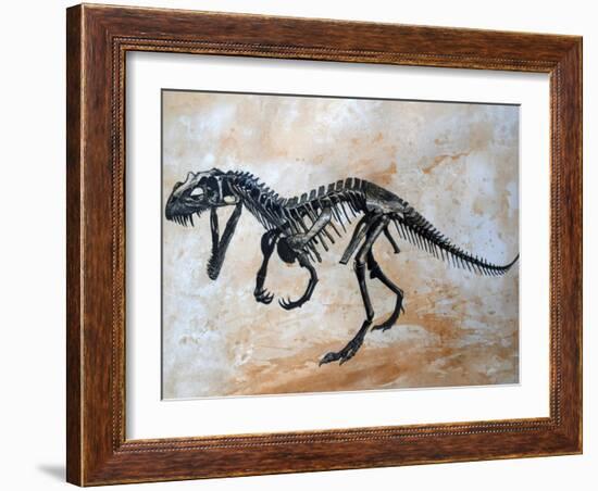 Ceratosaurus Dinosaur Skeleton-Stocktrek Images-Framed Art Print