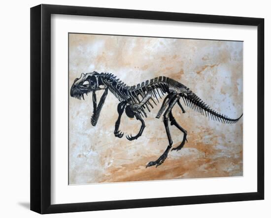 Ceratosaurus Dinosaur Skeleton-Stocktrek Images-Framed Art Print