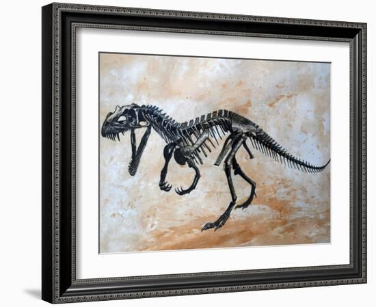 Ceratosaurus Dinosaur Skeleton-Stocktrek Images-Framed Art Print