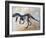 Ceratosaurus Dinosaur Skeleton-Stocktrek Images-Framed Art Print