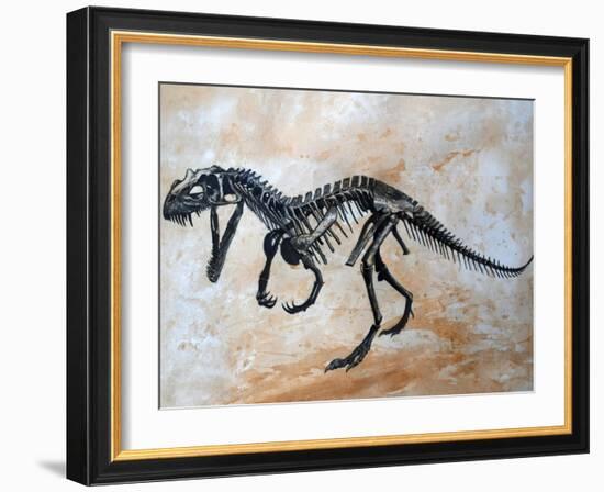 Ceratosaurus Dinosaur Skeleton-Stocktrek Images-Framed Art Print