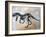 Ceratosaurus Dinosaur Skeleton-Stocktrek Images-Framed Art Print