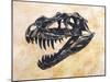 Ceratosaurus Dinosaur Skull-Stocktrek Images-Mounted Art Print