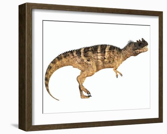 Ceratosaurus Dinosaur-Stocktrek Images-Framed Art Print