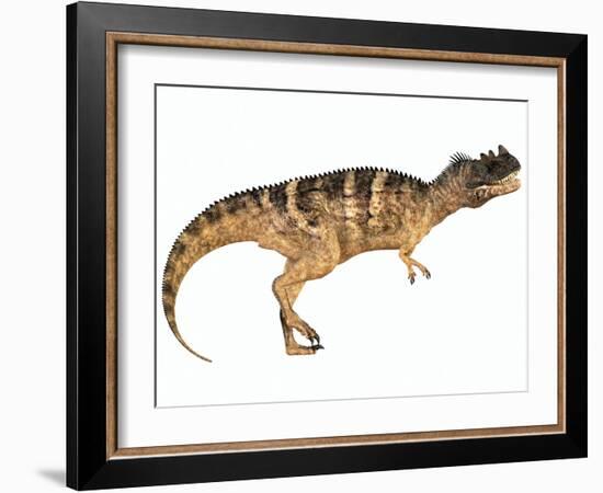 Ceratosaurus Dinosaur-Stocktrek Images-Framed Art Print