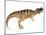 Ceratosaurus Dinosaur-Stocktrek Images-Mounted Art Print