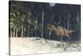 Stretched Canvas Print