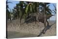 Stretched Canvas Print