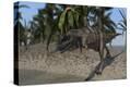 Stretched Canvas Print