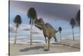 Stretched Canvas Print