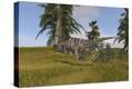 Stretched Canvas Print