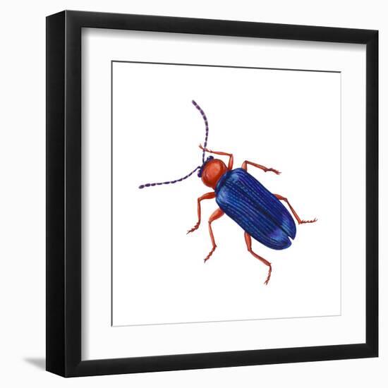 Cereal-Leaf Beetle (Lema Melanopa), Insects-Encyclopaedia Britannica-Framed Art Print