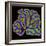 Cerebellum Structure, Light Micrograph-Thomas Deerinck-Framed Premium Photographic Print