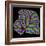 Cerebellum Structure, Light Micrograph-Thomas Deerinck-Framed Premium Photographic Print