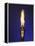 Ceremonial Olympic Style Torch-null-Framed Premier Image Canvas