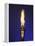 Ceremonial Olympic Style Torch-null-Framed Premier Image Canvas