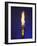 Ceremonial Olympic Style Torch-null-Framed Photographic Print