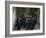 Ceremony for the New Greek Orthodox Patriarch in Jerusalem, Old City, Israel-Eitan Simanor-Framed Photographic Print