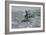 Ceremony of the Fastest Horse, C.1900-Frederic Remington-Framed Giclee Print