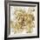 Cereus Aeonium - Bronze-Tania Bello-Framed Giclee Print