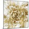 Cereus Aeonium - Bronze-Tania Bello-Mounted Giclee Print