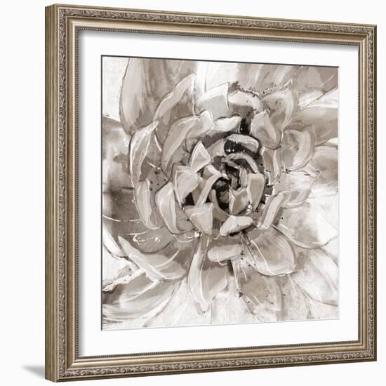 Cereus Aeonium - Fawn-Tania Bello-Framed Giclee Print