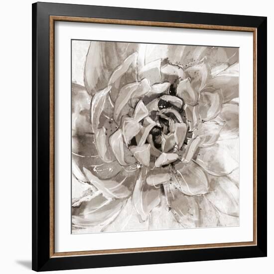 Cereus Aeonium - Fawn-Tania Bello-Framed Giclee Print