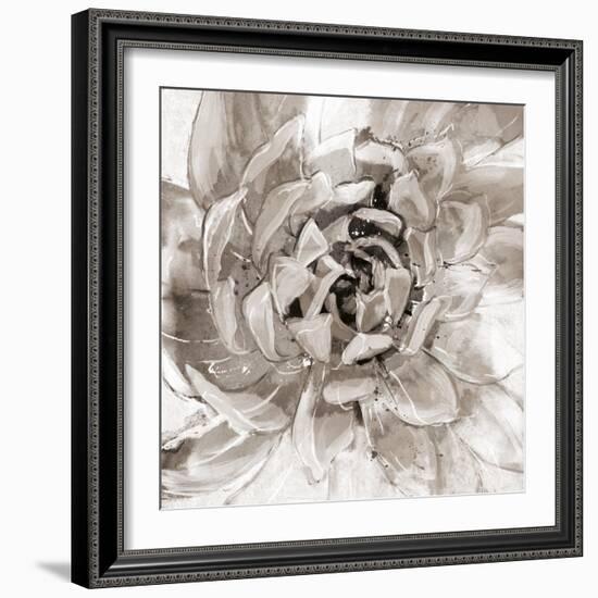 Cereus Aeonium - Fawn-Tania Bello-Framed Giclee Print