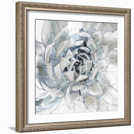 Cereus Aeonium-Tania Bello-Framed Giclee Print