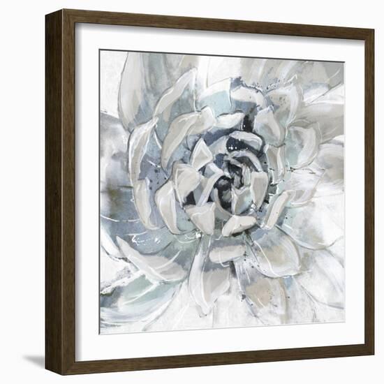 Cereus Aeonium-Tania Bello-Framed Giclee Print