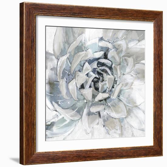 Cereus Aeonium-Tania Bello-Framed Giclee Print