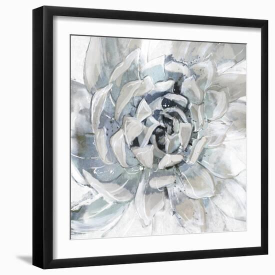 Cereus Aeonium-Tania Bello-Framed Giclee Print