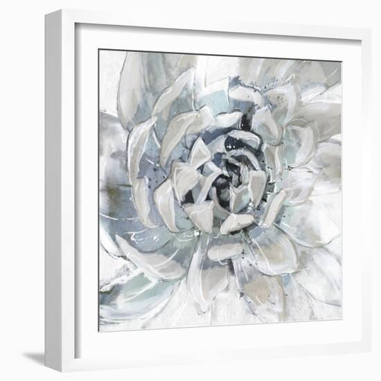 Cereus Aeonium-Tania Bello-Framed Giclee Print