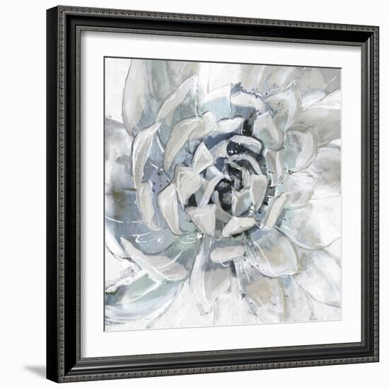 Cereus Aeonium-Tania Bello-Framed Giclee Print